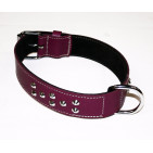 325-BOYSENBERRY